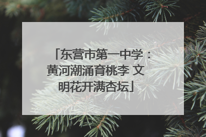东营市第一中学：黄河潮涌育桃李 文明花开满杏坛